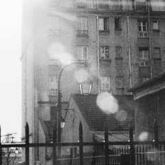 Walk in Paris in black & white - 2 - New window