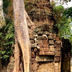 Angkor - 24 - New window