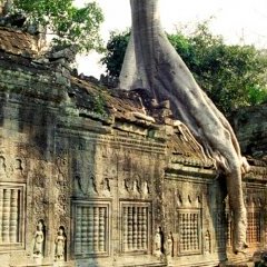 Angkor - 25 - New window