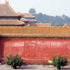 Forbidden City - 13 - New window